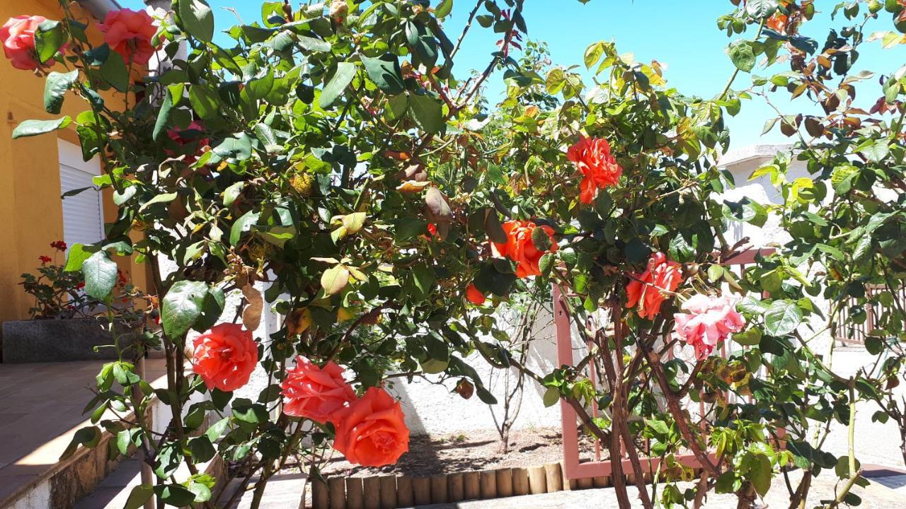 Casa Els Rosers Wifi Ля Эскала Экстерьер фото